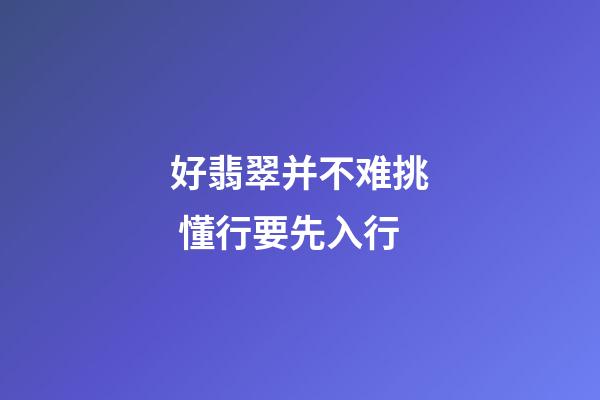 好翡翠并不难挑 懂行要先入行